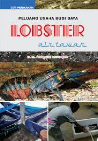 PELUANG USAHA BUDIDAYA LOBSTER AIR TAWAR