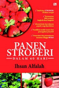 PANEN STROBERI DALAM 60 HARI