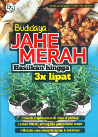 BUDIDAYA JAHE MERAH HASILKAN HINGGA 3X LIPAT